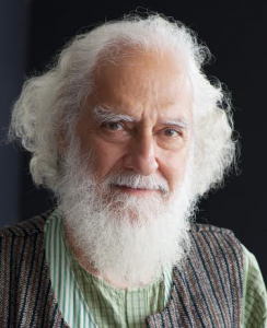 Arvind Krishna Mehrotra credit Nina Subin